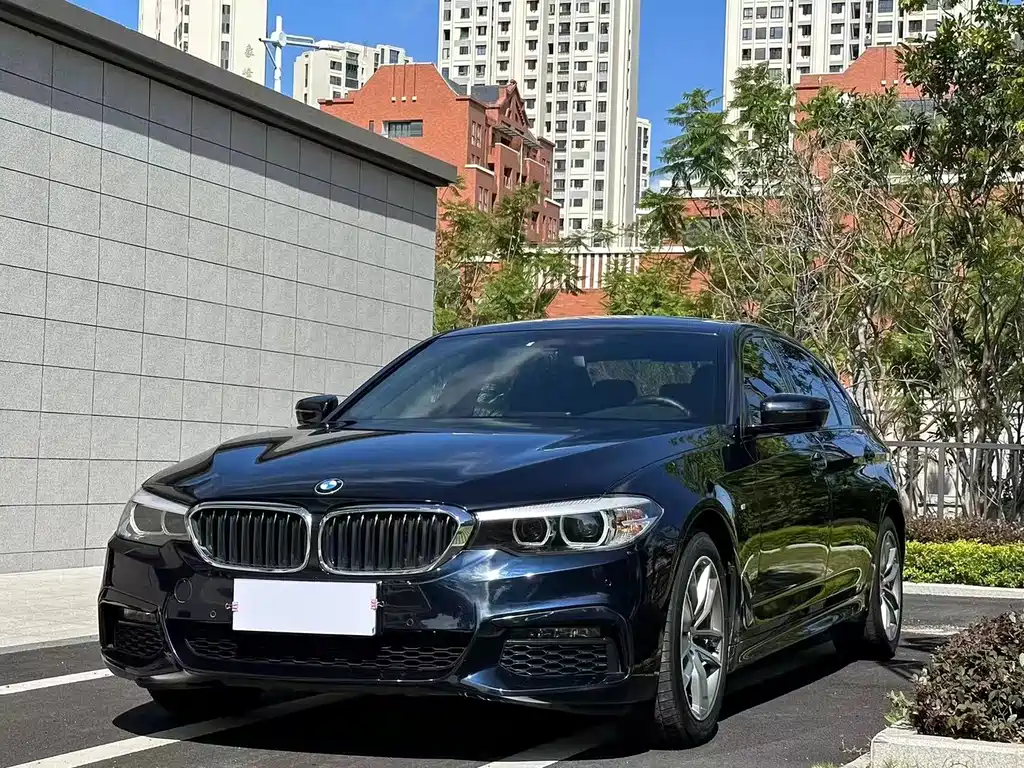 BMW 5 Series 2019