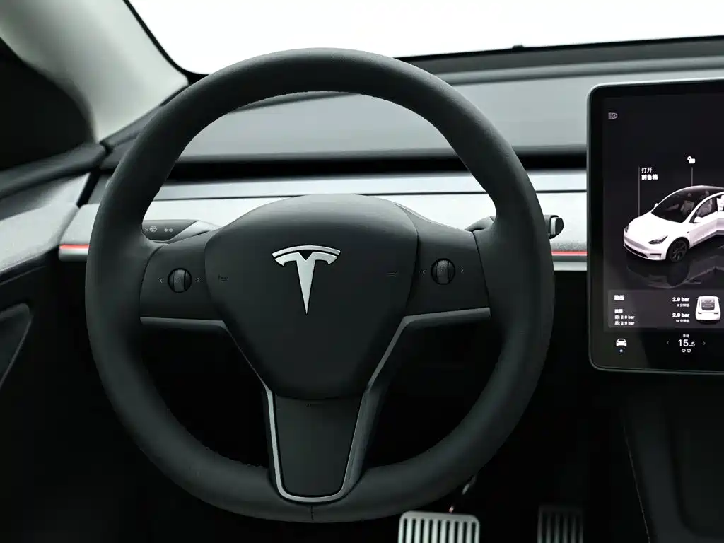 Tesla Model Y 2024 — фото 15