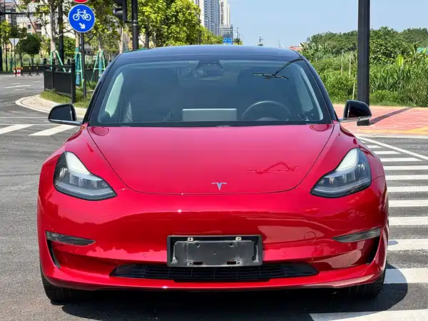 Tesla Model 3 2019
