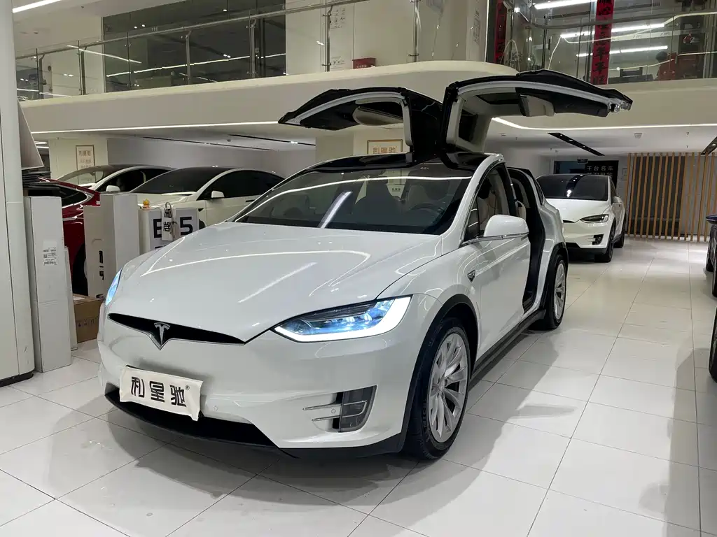Tesla Model X 2018