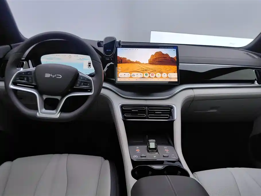 BYD Song PLUS New Energy 2025 — фото 12