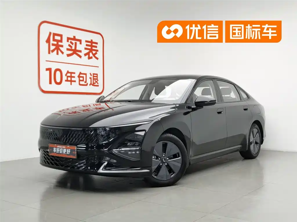 Wuling Xingguang 2024