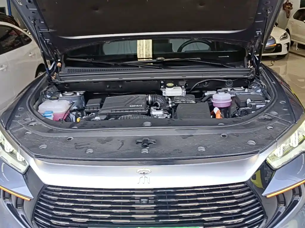 BYD Song Pro New Energy 2024 — фото 20