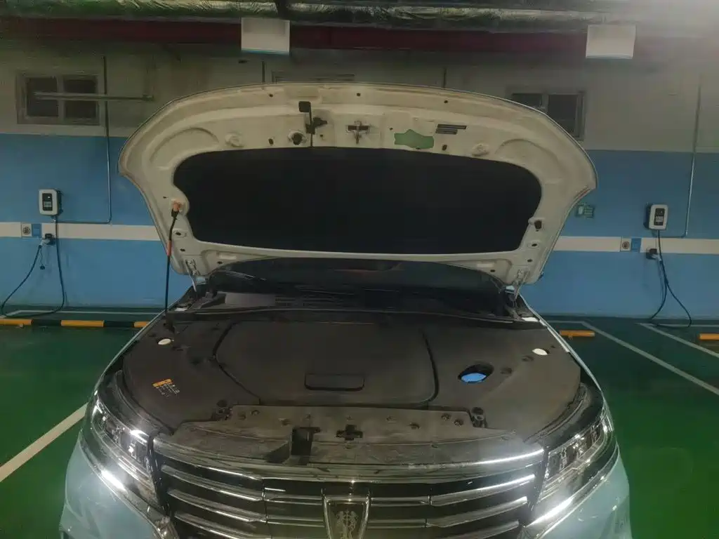 Roewe RX5 New Energy 2019 — фото 21