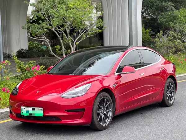 Tesla Model 3 2020