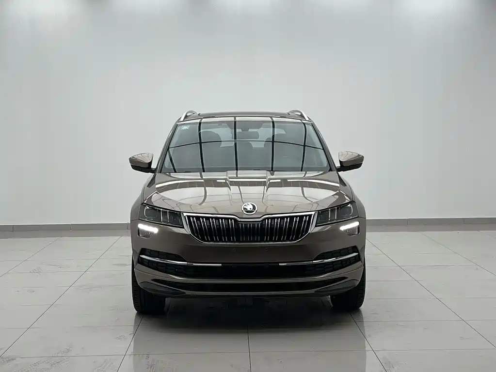 Skoda Karoq 2023 — фото 2