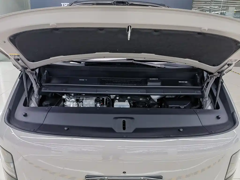 Li Auto Li MEGA 2025