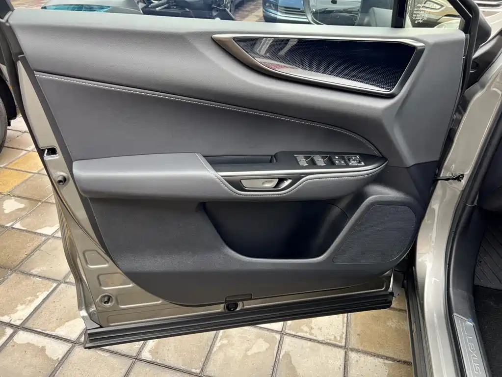 Lexus NX New Energy 2024 — фото 15
