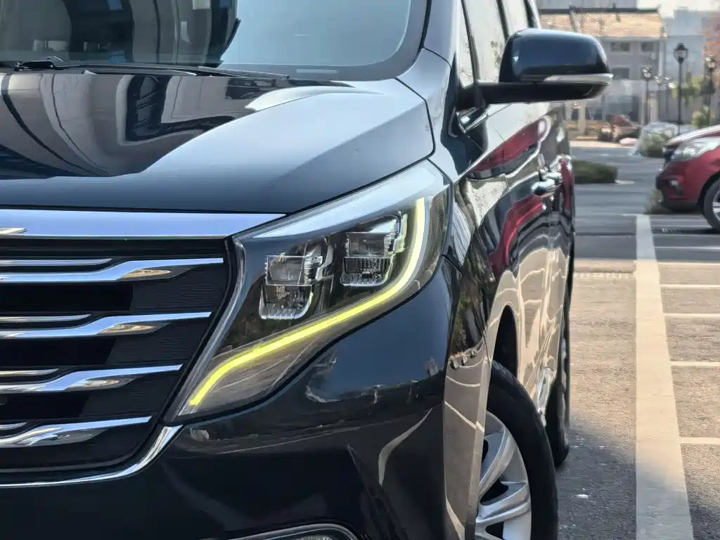 GAC Motor Trumpchi M8 2018 — фото 7