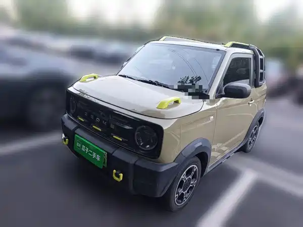 Geely Galaxy Panda 2024