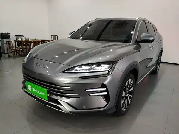 BYD Song PLUS New Energy 2024
