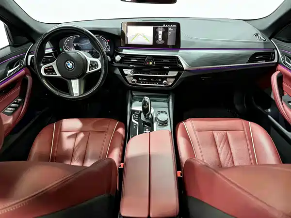 BMW 5 Series New Energy 2021