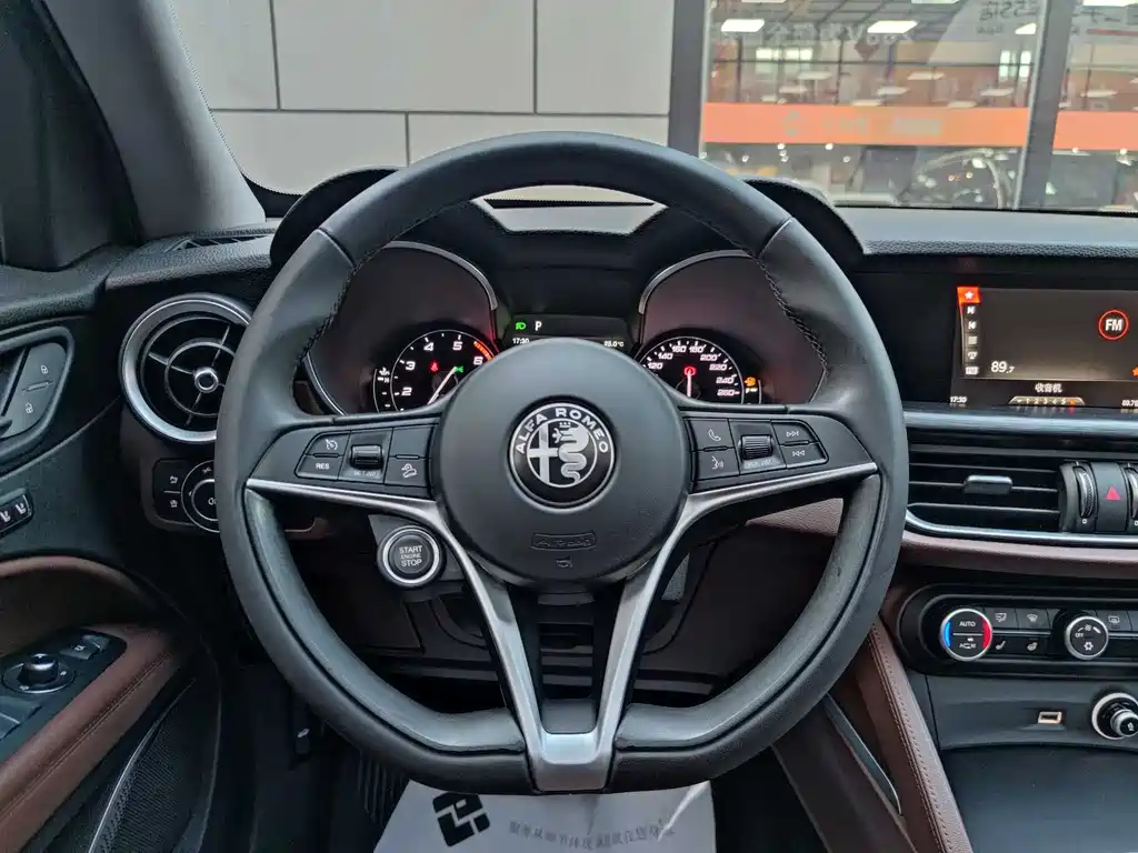 Alfa Romeo Stelvio 2019 — фото 11