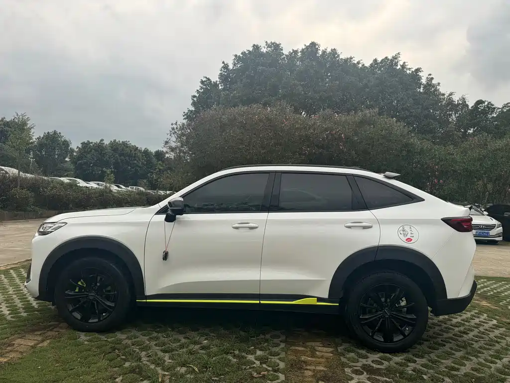 Haval H6S 2023 — фото 4