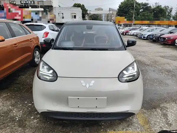 Wuling Bingo 2024