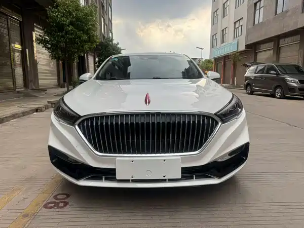 Hongqi H5 2019