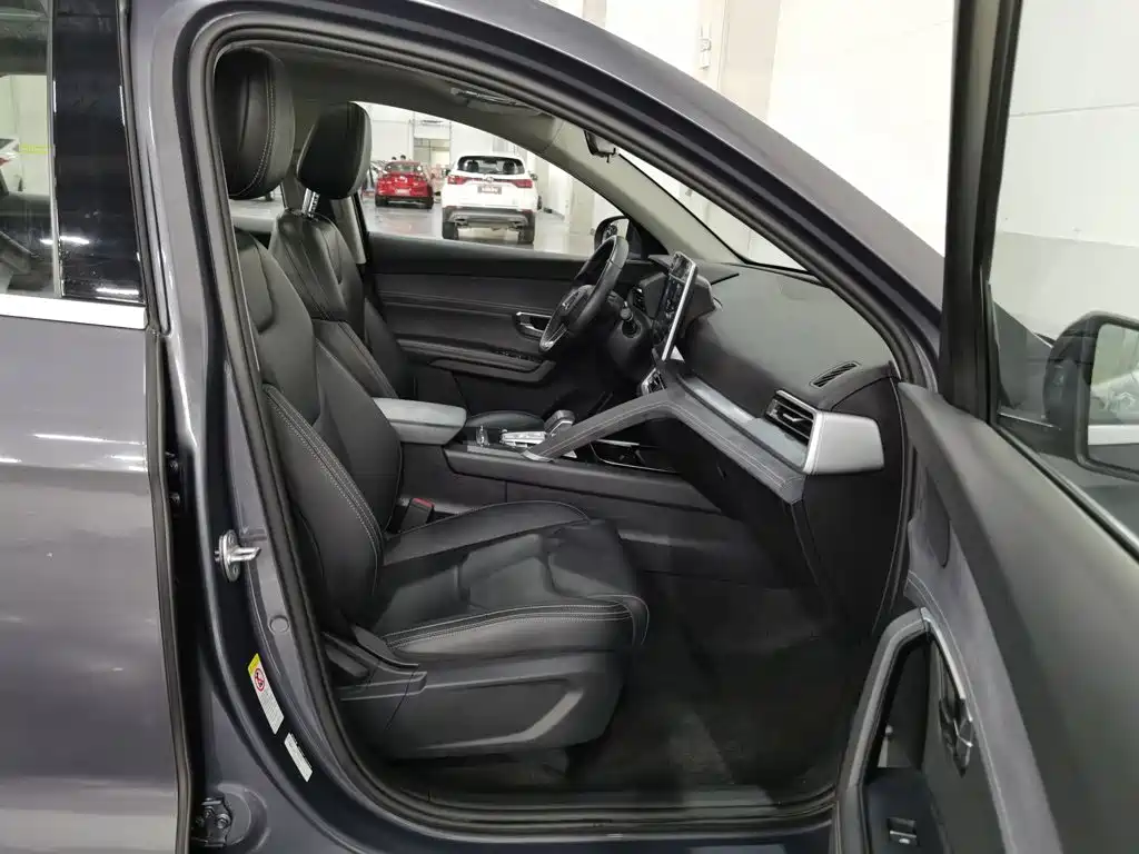 BYD Song Pro New Energy 2020 — фото 23