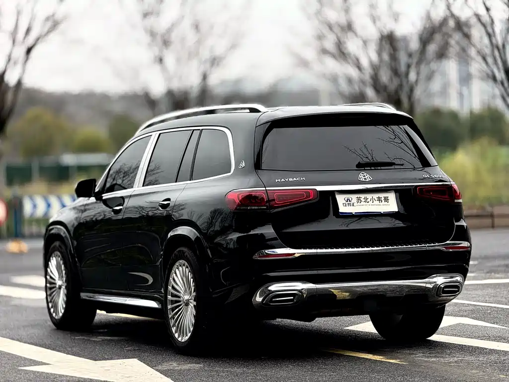 Mercedes-Benz GLS 2024 — фото 6
