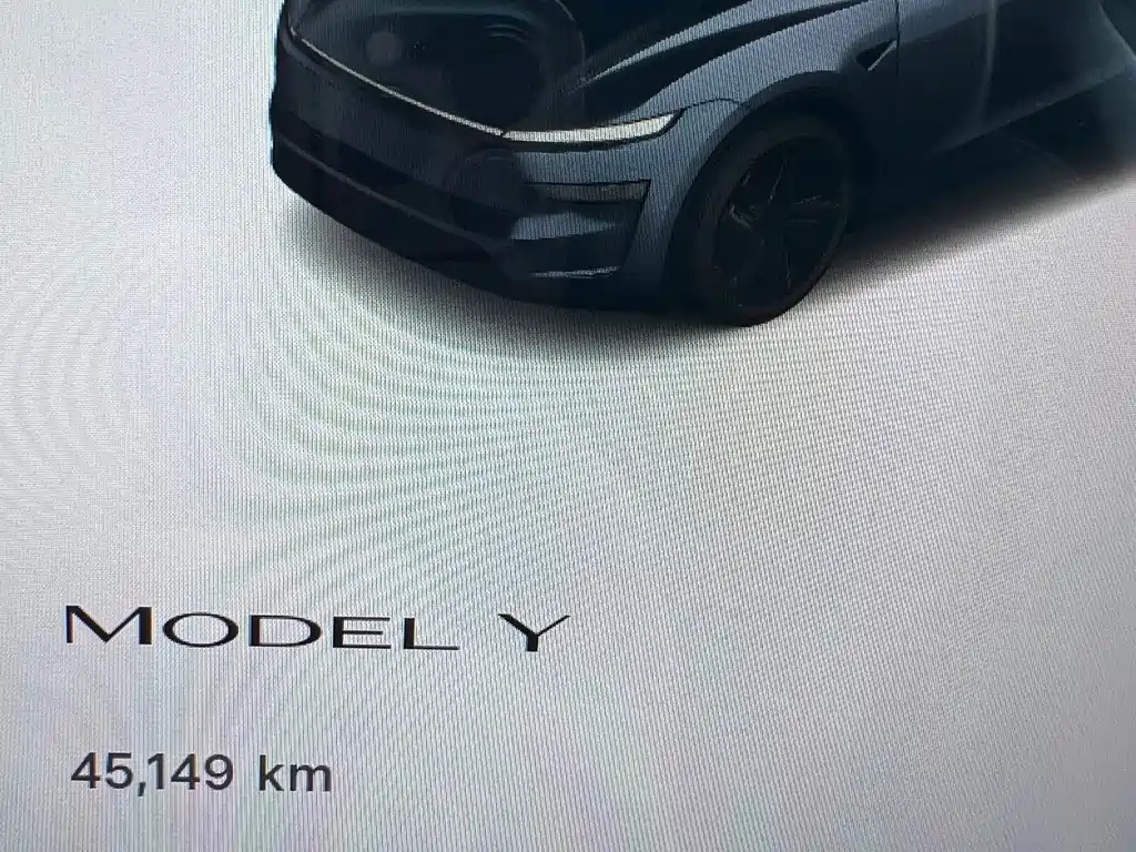 Tesla Model Y 2025 — фото 13