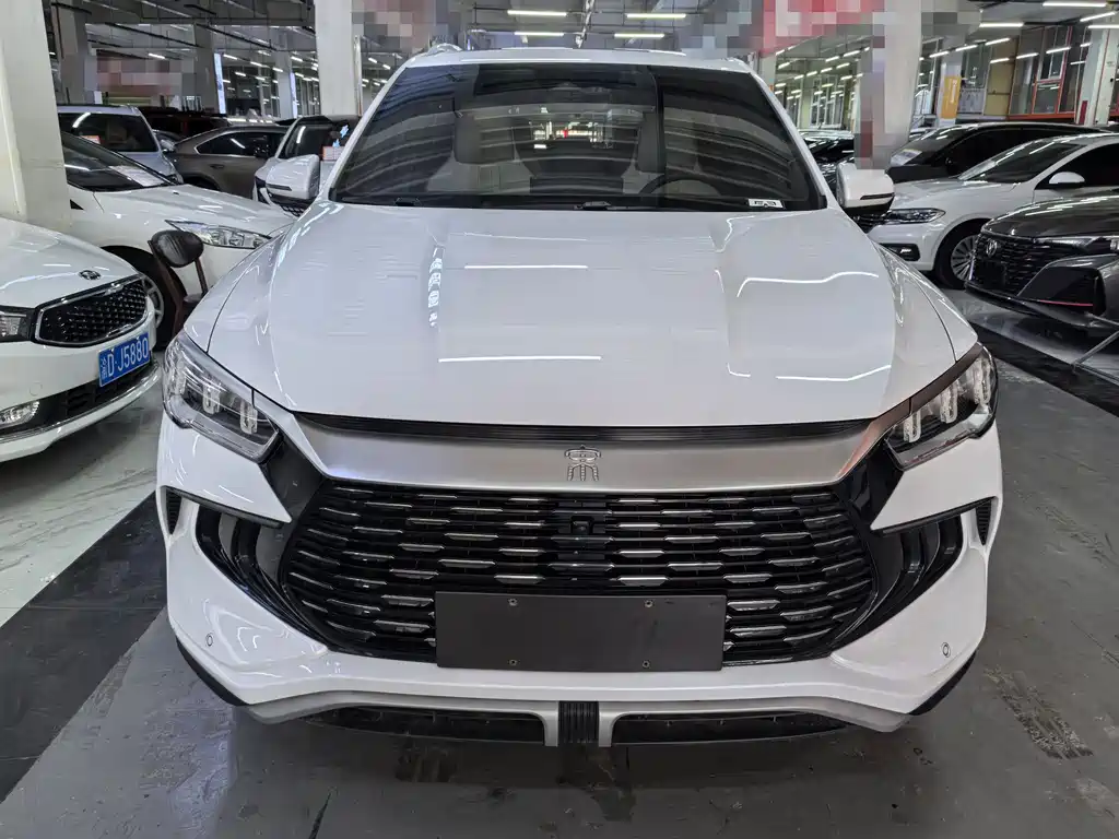 BYD Pro New Energy 2024 — фото 2