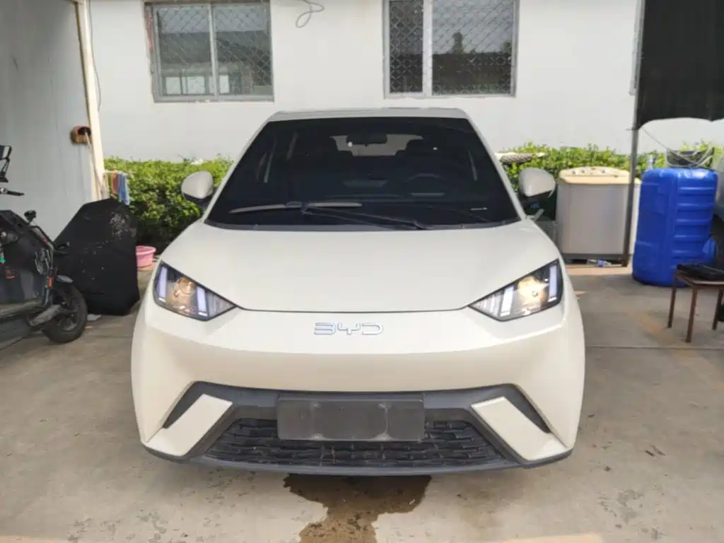 BYD Seagull 2024