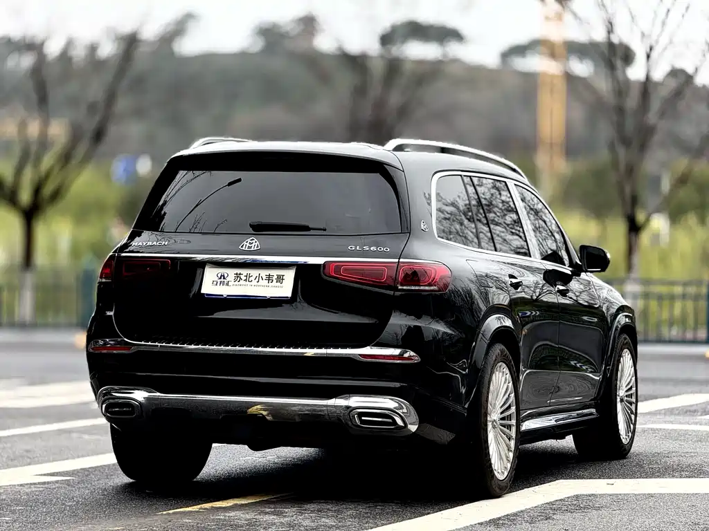 Mercedes-Benz GLS 2024 — фото 4