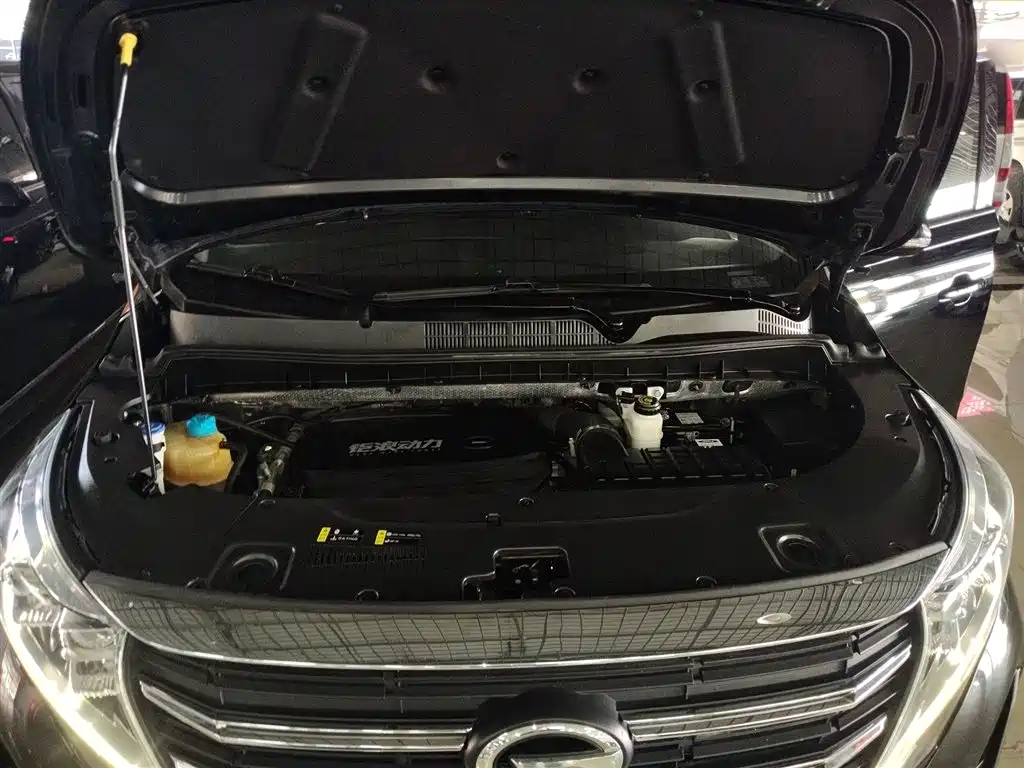 GAC Motor Trumpchi M8 2023 — фото 19