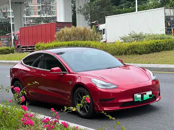Tesla Model 3 2020
