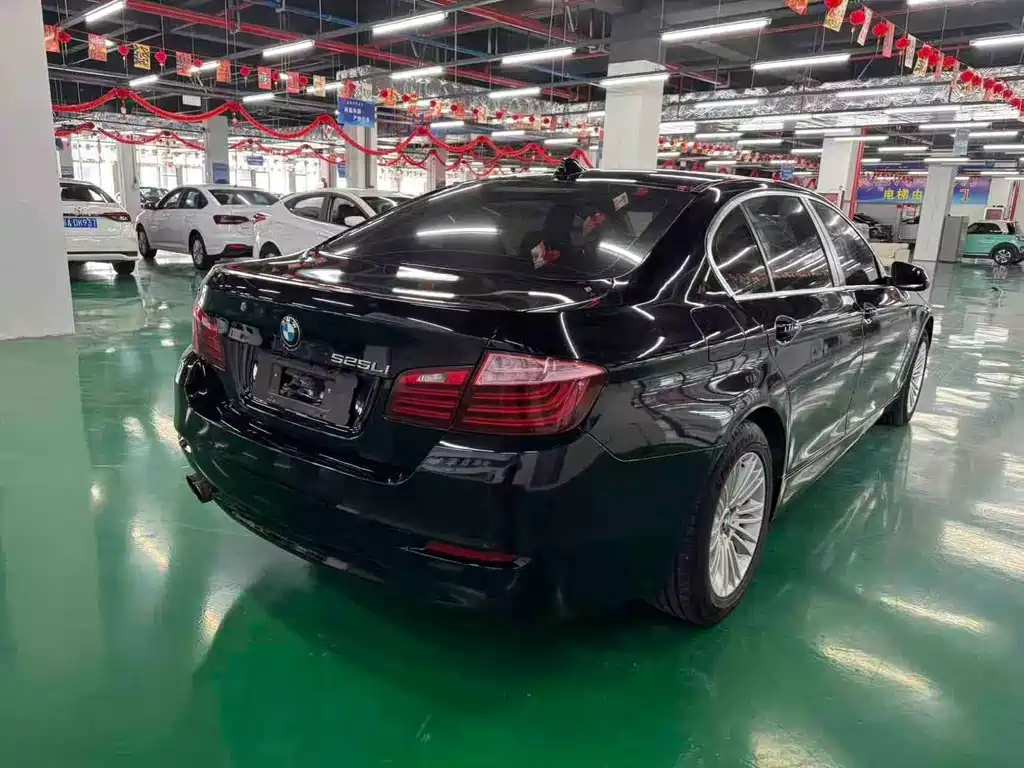 BMW 5 Series 2014 — фото 9