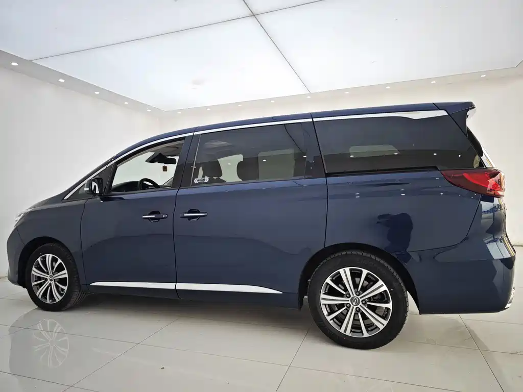 GAC Motor Trumpchi M8 2019 — фото 12