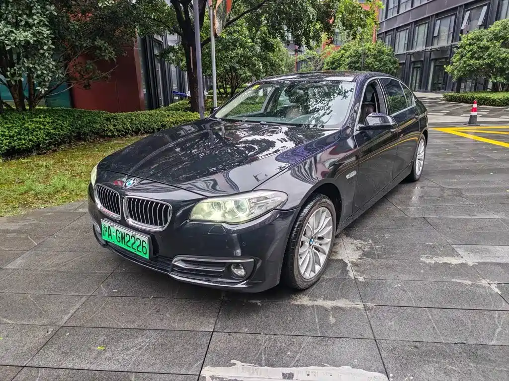 BMW 5 Series New Energy 2015