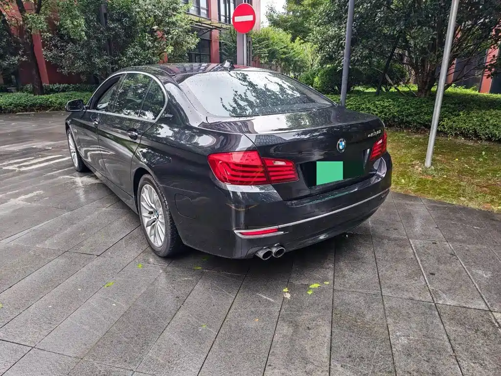 BMW 5 Series New Energy 2015