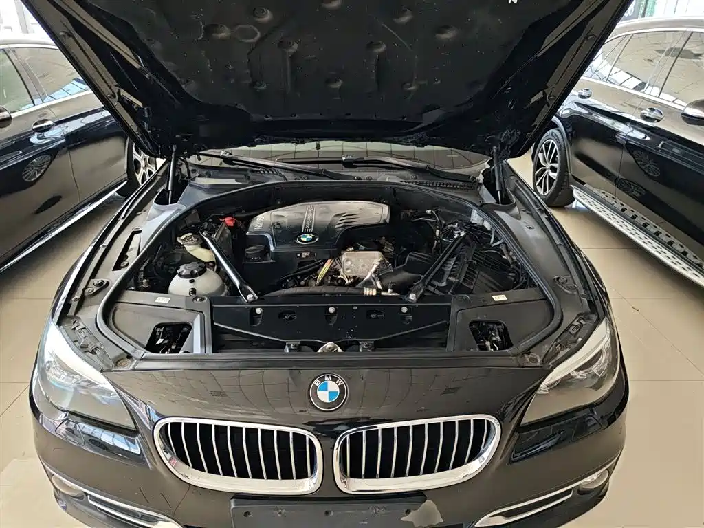 BMW 5 Series 2017 — фото 16