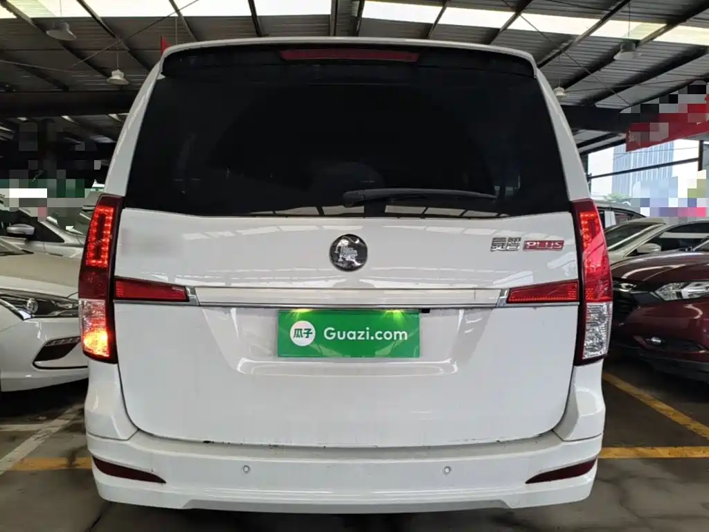 Fengxing Lingzhi PLUS 2021