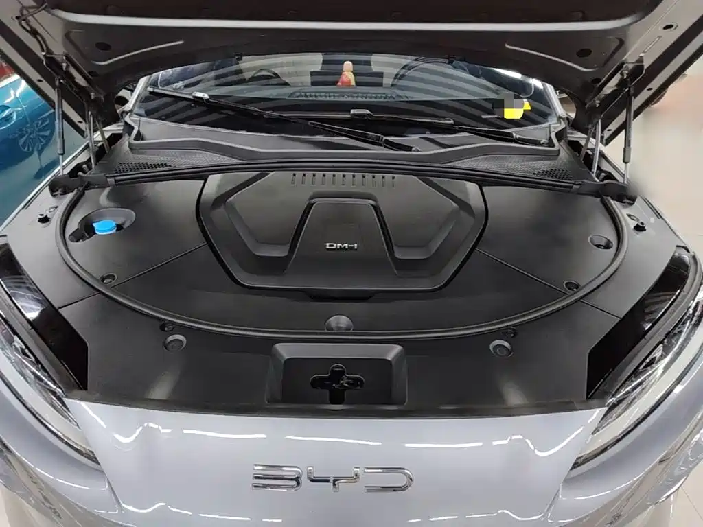 BYD Song PLUS New Energy 2024 — фото 20