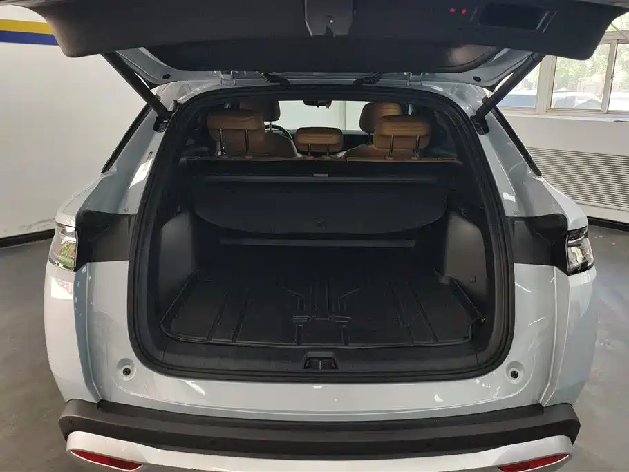 BYD L DM-i 2024 — фото 4