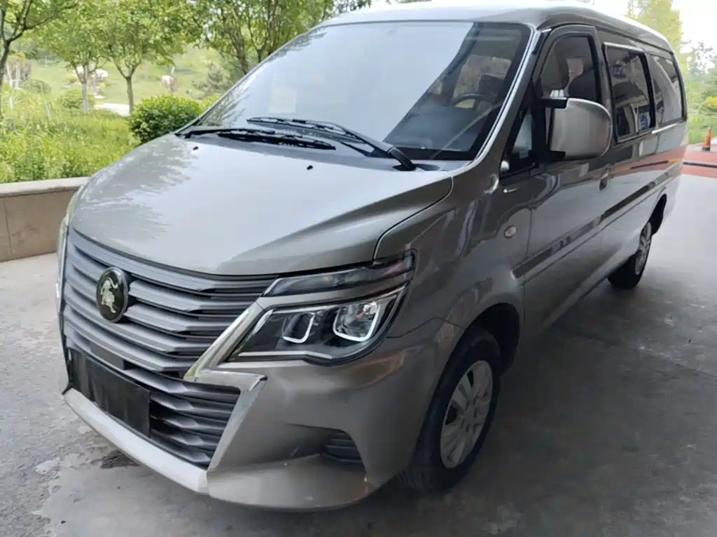 Dongfeng Lingzhi 2024