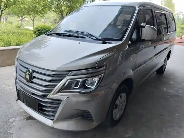 Dongfeng Lingzhi 2024