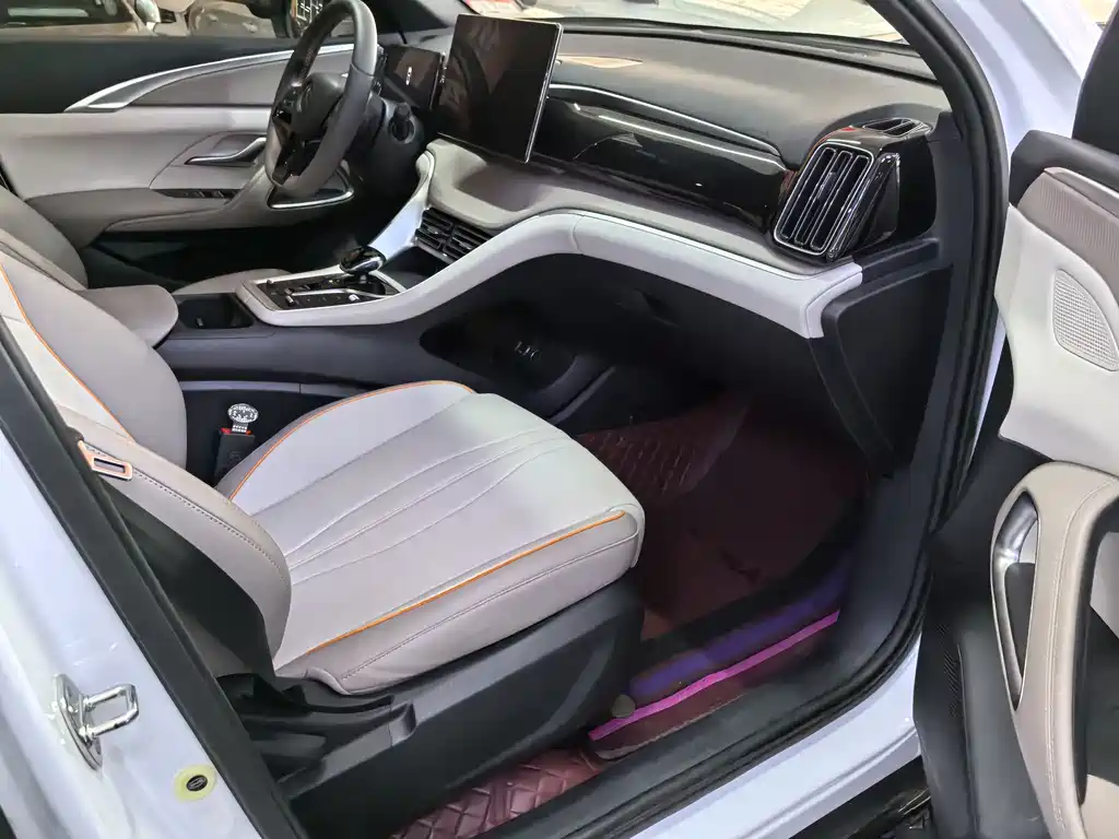 BYD Pro New Energy 2024 — фото 10