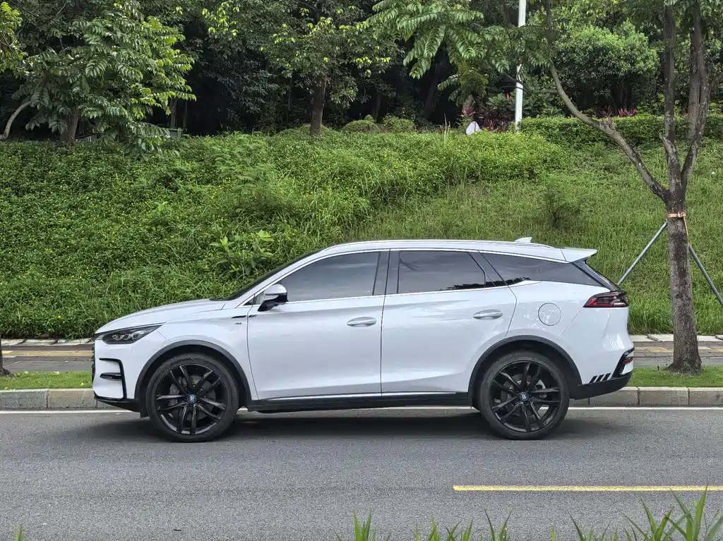 BYD Tang New Energy 2020