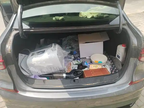 Chevrolet Monza 2019