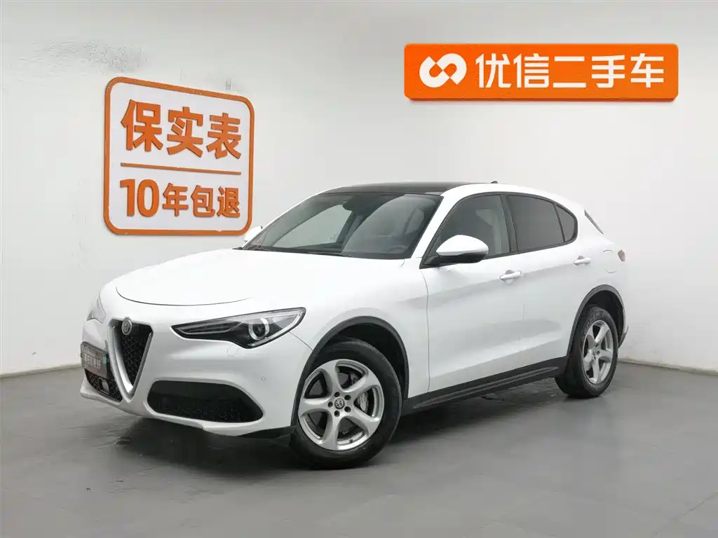 Alfa Romeo Stelvio 2019 — фото 1
