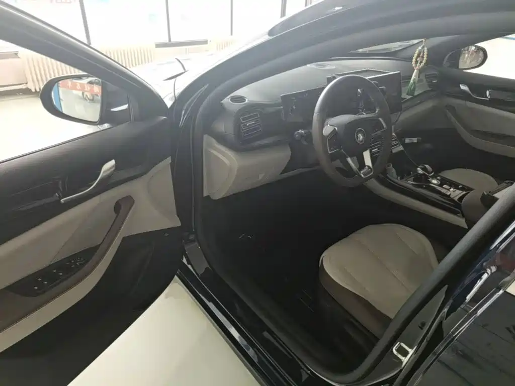 BYD Qin PLUS 2024 — фото 16