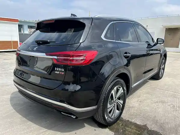 Hongqi HS5 2020