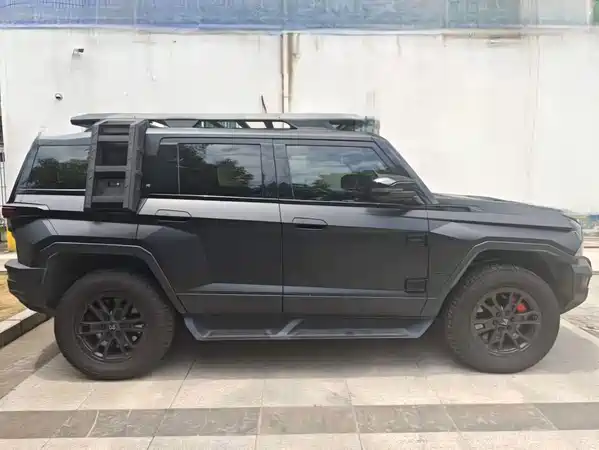 Mengshi 917 2023