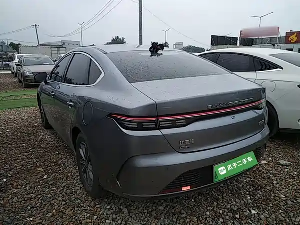 BYD Destroyer 05 2024