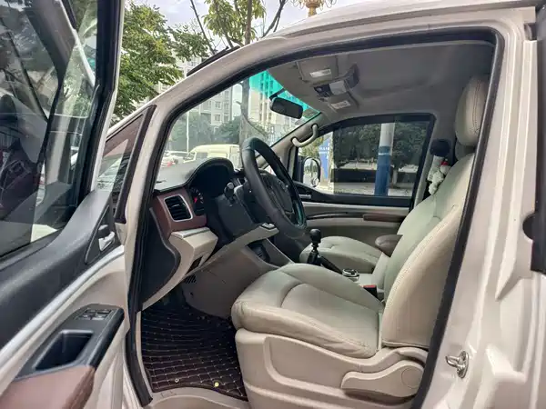 Dongfeng Lingzhi 2019