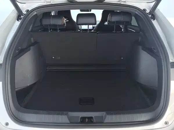 BYD Song PLUS New Energy 2024