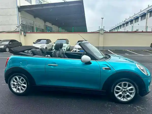 MINI 2018