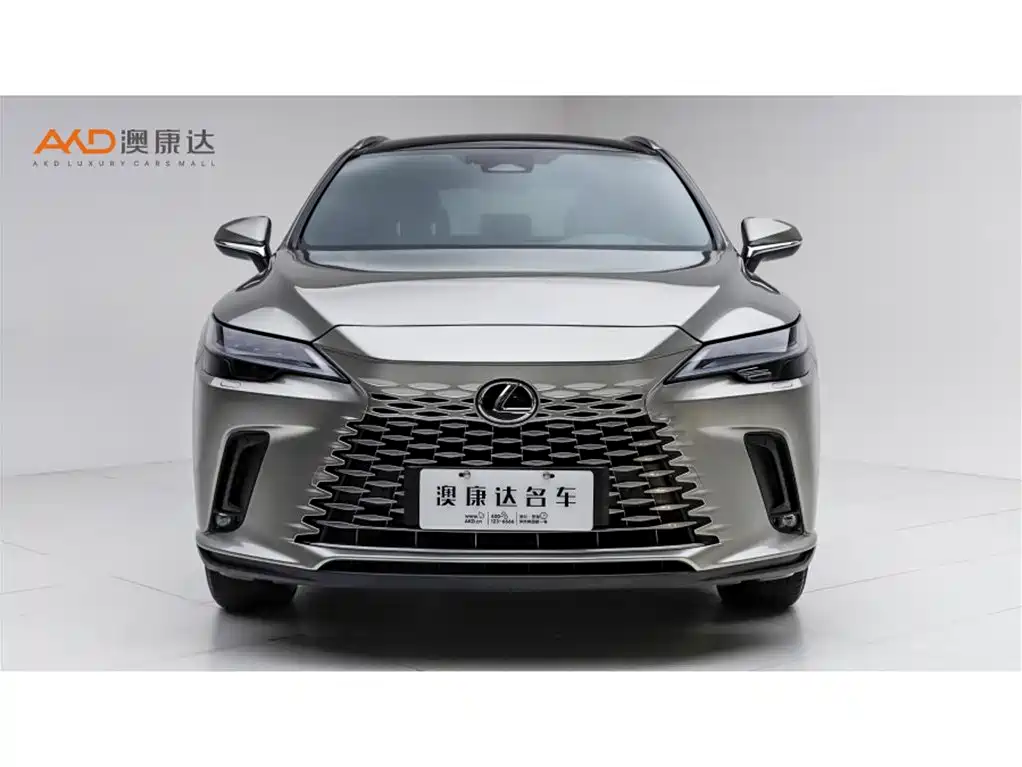 Lexus RX New Energy 2024